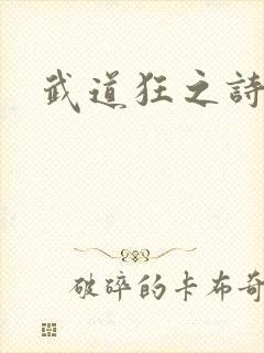 武道狂之诗封面