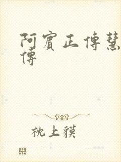 阿宾正传慧钰外传封面