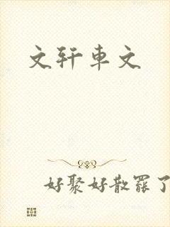 文轩车文