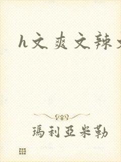 h文爽文辣文封面