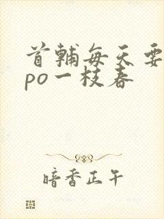 首辅每天要不够po一枝春封面