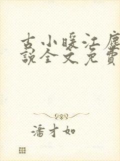 古小暖江尘御小说全文免费阅读