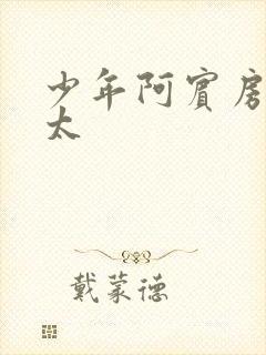 少年阿宾房东太太