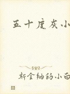 五十度灰小说封面