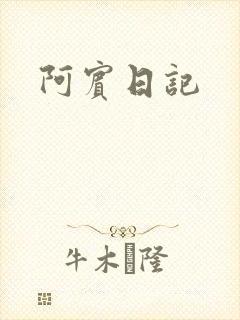 阿宾日记封面