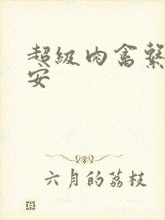 超级肉禽系统保安