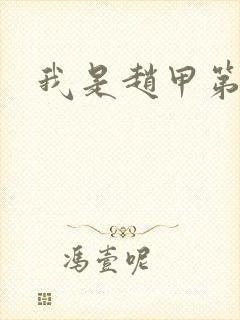 我是赵甲第小说