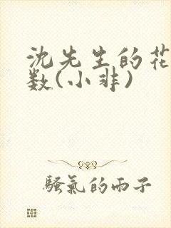 沈先生的花式调数(小非)封面