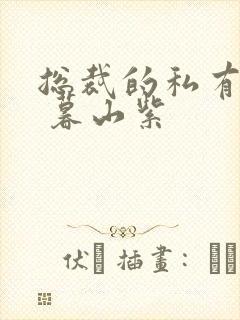 总裁的私有宝贝 暮山紫