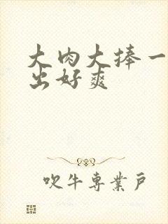 大肉大捧一进一出好爽