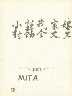 小说我家娘子不对劲全文免费阅读封面