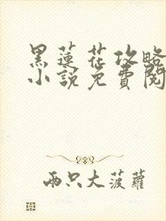 黑莲花攻略手册小说免费阅读全文封面