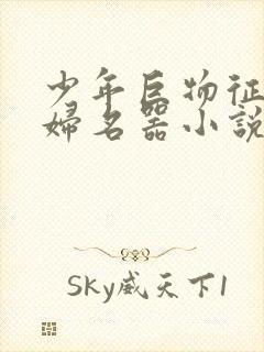 少年巨物征服美妇名器小说