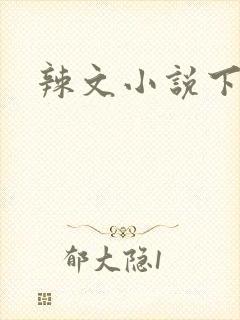 辣文小说下载封面