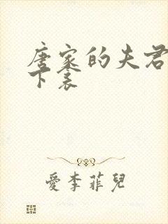 唐家的夫君们帘下衾