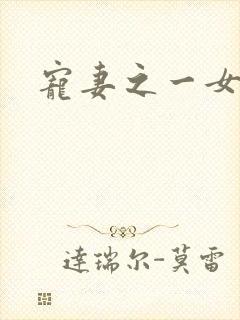 宠妻之一女二夫