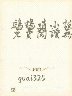 鹧鸪哨小说网站免费阅读无弹窗封面