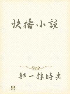 快播小说