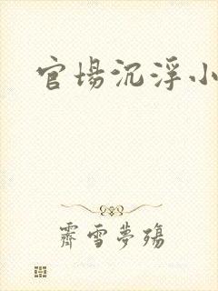 官场沉浮小说封面