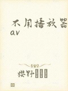 不用播放器的gav