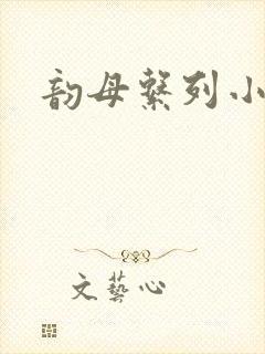 韵母系列小说封面