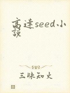 高达seed小说