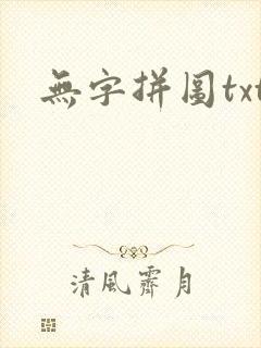 无字拼图txt封面