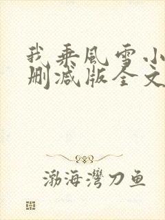 我乘风雪小说未删减版全文阅读