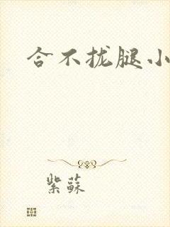 合不拢腿小说