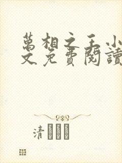 万相之王小说全文免费阅读正版封面