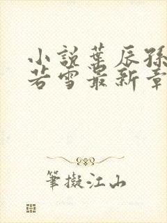 小说叶辰孙怡夏若雪最新章节阅读