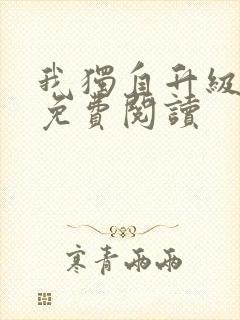 我独自升级漫画免费阅读封面