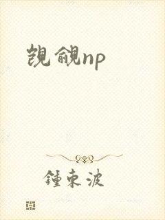 觊觎np