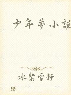 少年梦小说