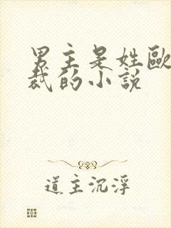 男主是姓欧的总裁的小说