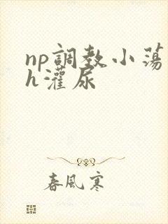 np调教小荡货h灌尿