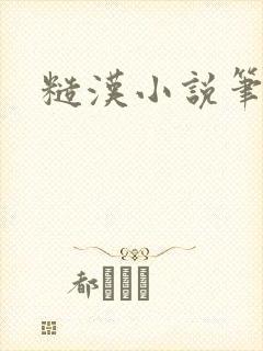 糙汉小说笔趣阁封面