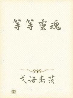 等等灵魂
