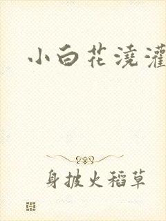 小白花浇灌日常