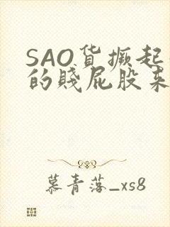 SAO货撅起你的贱屁股来封面