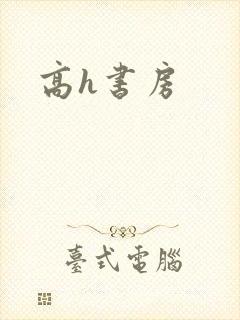 高h书房