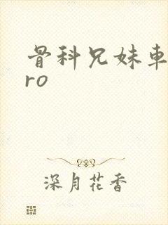 骨科兄妹车多pro