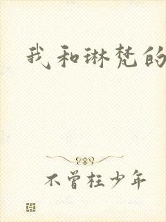 我和琳梵的故事