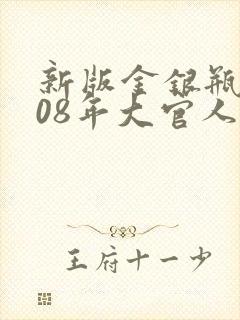 新版金银瓶2008年大官人