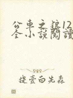 公车之狼12集全小说阅读