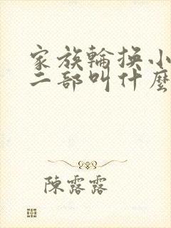 家族轮换小说第二部叫什么名字封面