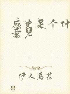 历史是个什么玩意儿封面