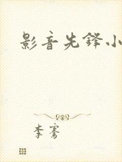 影音先锋小说封面