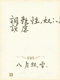 调教性,奴:小说虐