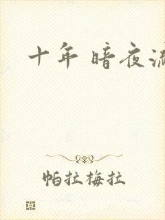 十年 暗夜流光封面